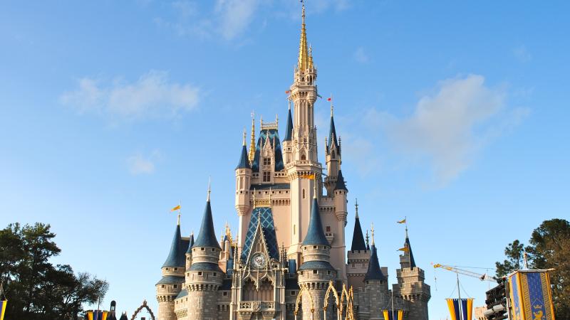 Disney World Limo Service Florida